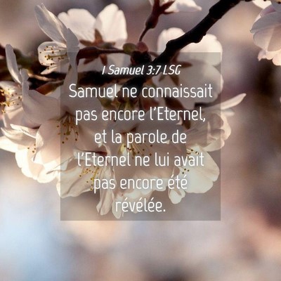 Picture 04 - 1 Samuel 3:7 LSG - Samuel ne connaissait pas encore l'Eternel, et la - Bible Verse Picture