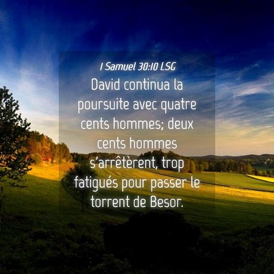 Picture 04 - 1 Samuel 30:10 LSG - David continua la poursuite avec quatre cents - Bible Verse Picture