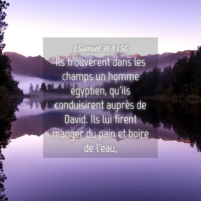 Picture 04 - 1 Samuel 30:11 LSG - Ils trouvèrent dans les champs un homme - Bible Verse Picture