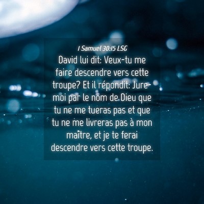 Picture 04 - 1 Samuel 30:15 LSG - David lui dit: Veux-tu me faire descendre vers - Bible Verse Picture