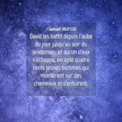 Picture 04 - 1 Samuel 30:17 LSG - David les battit depuis l'aube du jour jusqu'au - Bible Verse Picture