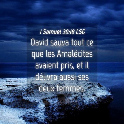 Picture 04 - 1 Samuel 30:18 LSG - David sauva tout ce que les Amalécites avaient - Bible Verse Picture