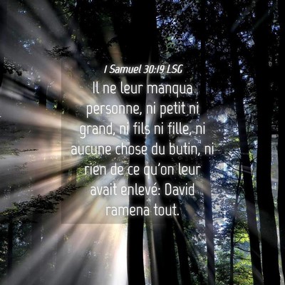 Picture 04 - 1 Samuel 30:19 LSG - Il ne leur manqua personne, ni petit ni grand, ni - Bible Verse Picture