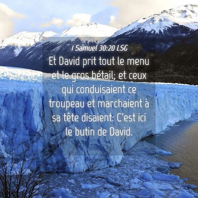 Picture 04 - 1 Samuel 30:20 LSG - Et David prit tout le menu et le gros bétail; et - Bible Verse Picture