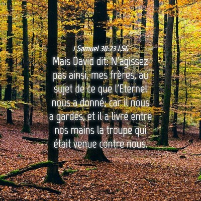 Picture 04 - 1 Samuel 30:23 LSG - Mais David dit: N'agissez pas ainsi, mes frères, - Bible Verse Picture