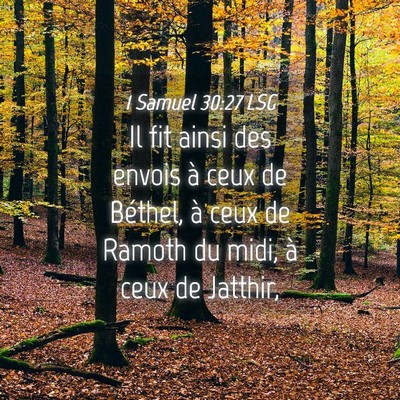 Picture 04 - 1 Samuel 30:27 LSG - Il fit ainsi des envois à ceux de Béthel, à - Bible Verse Picture