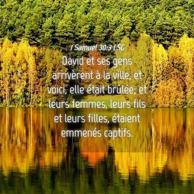 Picture 04 - 1 Samuel 30:3 LSG - David et ses gens arrivèrent à la ville, et - Bible Verse Picture