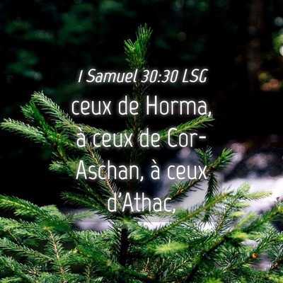 Picture 04 - 1 Samuel 30:30 LSG - ceux de Horma, à ceux de Cor-Aschan, à ceux - Bible Verse Picture