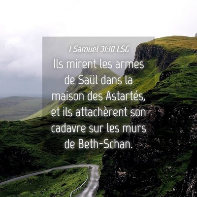 Picture 04 - 1 Samuel 31:10 LSG - Ils mirent les armes de Saül dans la maison des - Bible Verse Picture