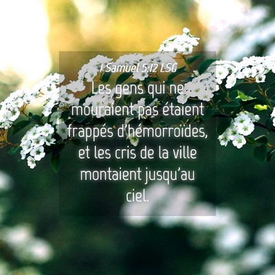 Picture 04 - 1 Samuel 5:12 LSG - Les gens qui ne mouraient pas étaient frappés - Bible Verse Picture