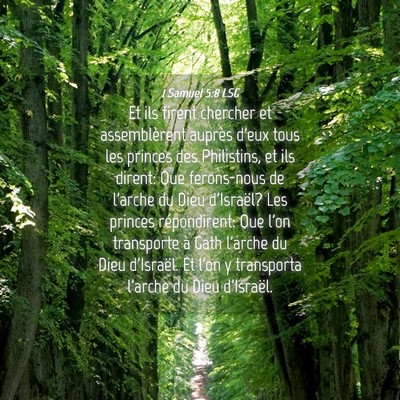 Picture 04 - 1 Samuel 5:8 LSG - Et ils firent chercher et assemblèrent auprès - Bible Verse Picture