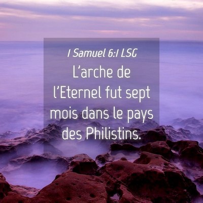 Picture 04 - 1 Samuel 6:1 LSG - L'arche de l'Eternel fut sept mois dans le pays - Bible Verse Picture