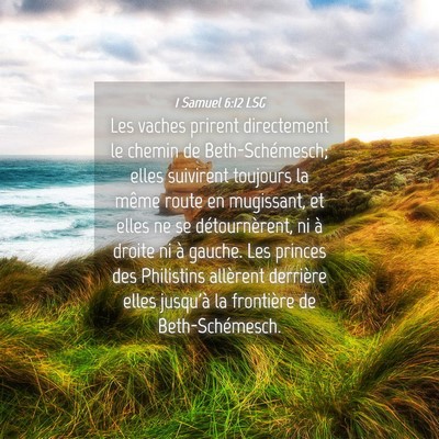 Picture 04 - 1 Samuel 6:12 LSG - Les vaches prirent directement le chemin de - Bible Verse Picture