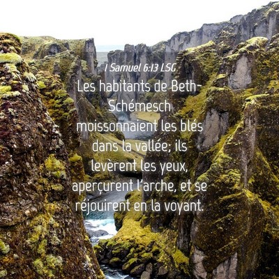Picture 04 - 1 Samuel 6:13 LSG - Les habitants de Beth-Schémesch moissonnaient - Bible Verse Picture