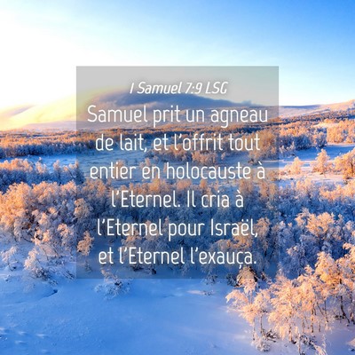 Picture 04 - 1 Samuel 7:9 LSG - Samuel prit un agneau de lait, et l'offrit tout - Bible Verse Picture
