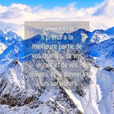 Picture 04 - 1 Samuel 8:14 LSG - Il prendra la meilleure partie de vos champs, de - Bible Verse Picture