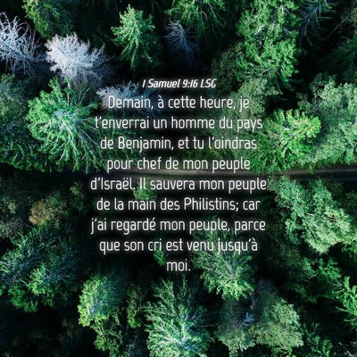 Picture 04 - 1 Samuel 9:16 LSG - Demain, à cette heure, je t'enverrai un homme du - Bible Verse Picture