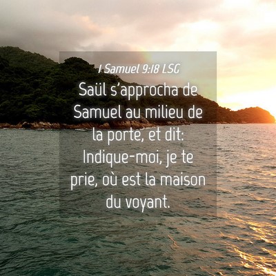 Picture 04 - 1 Samuel 9:18 LSG - Saül s'approcha de Samuel au milieu de la porte, - Bible Verse Picture