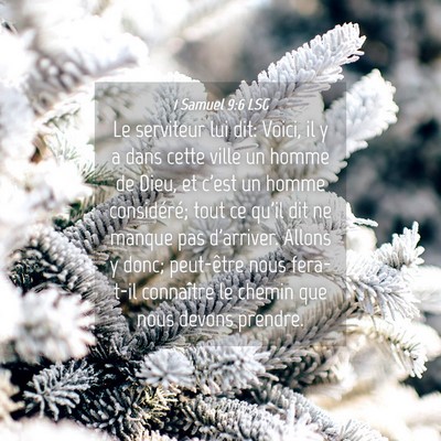Picture 04 - 1 Samuel 9:6 LSG - Le serviteur lui dit: Voici, il y a dans cette - Bible Verse Picture
