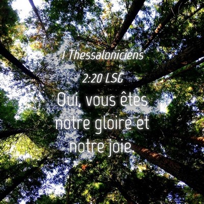Picture 04 - 1 Thessaloniciens 2:20 LSG - Oui, vous êtes notre gloire et notre - Bible Verse Picture