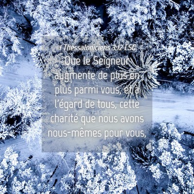 Picture 04 - 1 Thessaloniciens 3:12 LSG - Que le Seigneur augmente de plus en plus parmi - Bible Verse Picture