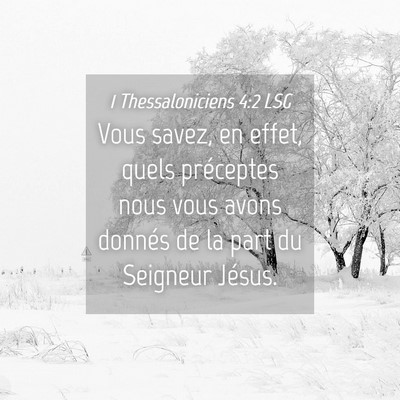 Picture 04 - 1 Thessaloniciens 4:2 LSG - Vous savez, en effet, quels préceptes nous vous - Bible Verse Picture