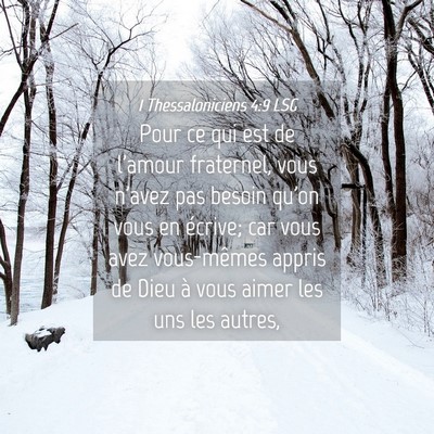 Picture 04 - 1 Thessaloniciens 4:9 LSG - Pour ce qui est de l'amour fraternel, vous n'avez - Bible Verse Picture