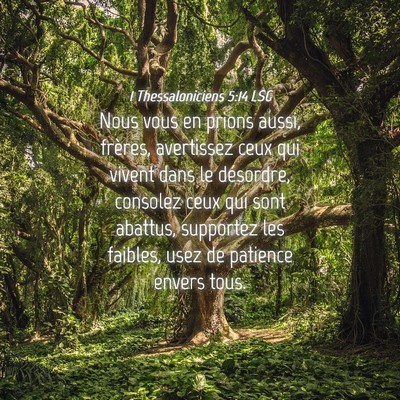Picture 04 - 1 Thessaloniciens 5:14 LSG - Nous vous en prions aussi, frères, avertissez - Bible Verse Picture