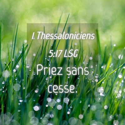 Picture 04 - 1 Thessaloniciens 5:17 LSG - Priez sans - Bible Verse Picture