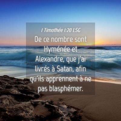 Picture 04 - 1 Timothée 1:20 LSG - De ce nombre sont Hyménée et Alexandre, que - Bible Verse Picture