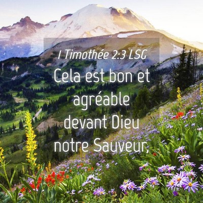 Picture 04 - 1 Timothée 2:3 LSG - Cela est bon et agréable devant Dieu notre - Bible Verse Picture