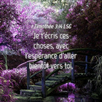 Picture 04 - 1 Timothée 3:14 LSG - Je t'écris ces choses, avec l'espérance d'aller - Bible Verse Picture