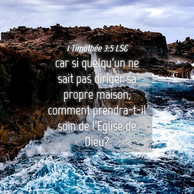 Picture 04 - 1 Timothée 3:5 LSG - car si quelqu'un ne sait pas diriger sa propre - Bible Verse Picture