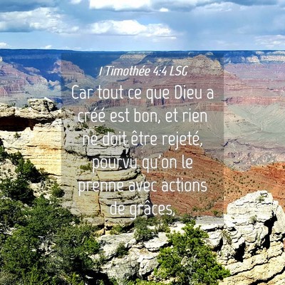 Picture 04 - 1 Timothée 4:4 LSG - Car tout ce que Dieu a créé est bon, et rien ne - Bible Verse Picture