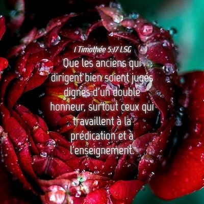 Picture 04 - 1 Timothée 5:17 LSG - Que les anciens qui dirigent bien soient jugés - Bible Verse Picture