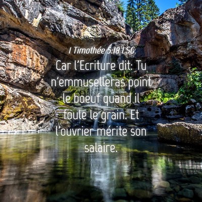 Picture 04 - 1 Timothée 5:18 LSG - Car l'Ecriture dit: Tu n'emmuselleras point le - Bible Verse Picture