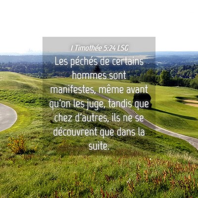 Picture 04 - 1 Timothée 5:24 LSG - Les péchés de certains hommes sont manifestes, - Bible Verse Picture