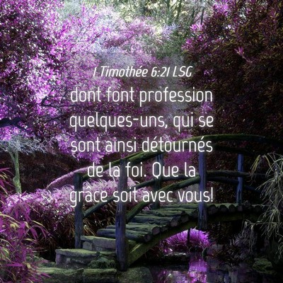 Picture 04 - 1 Timothée 6:21 LSG - dont font profession quelques-uns, qui se sont - Bible Verse Picture