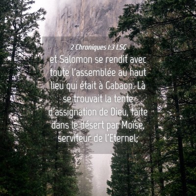 Picture 04 - 2 Chroniques 1:3 LSG - et Salomon se rendit avec toute l'assemblée au - Bible Verse Picture