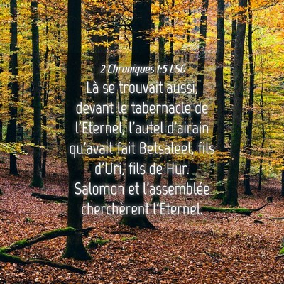 Picture 04 - 2 Chroniques 1:5 LSG - Là se trouvait aussi, devant le tabernacle de - Bible Verse Picture