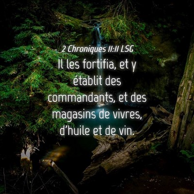 Picture 04 - 2 Chroniques 11:11 LSG - Il les fortifia, et y établit des commandants, - Bible Verse Picture