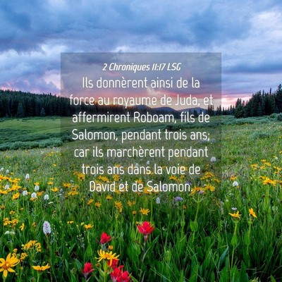 Picture 04 - 2 Chroniques 11:17 LSG - Ils donnèrent ainsi de la force au royaume de - Bible Verse Picture