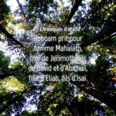 Picture 04 - 2 Chroniques 11:18 LSG - Roboam prit pour femme Mahalath, fille de - Bible Verse Picture
