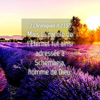 Picture 04 - 2 Chroniques 11:2 LSG - Mais la parole de l'Eternel fut ainsi adressée - Bible Verse Picture