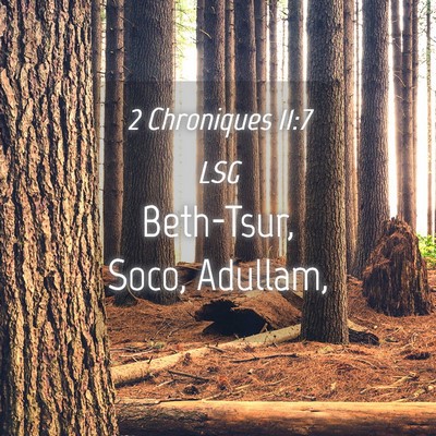 Picture 04 - 2 Chroniques 11:7 LSG - Beth-Tsur, Soco, - Bible Verse Picture