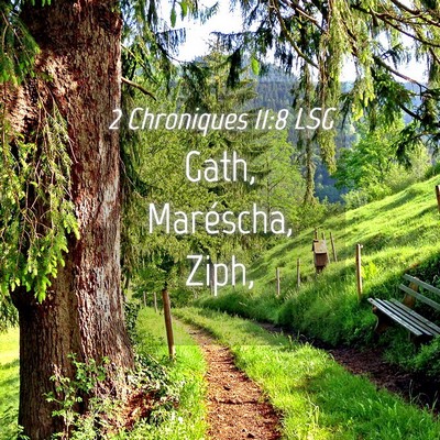 Picture 04 - 2 Chroniques 11:8 LSG - Gath, Maréscha, - Bible Verse Picture