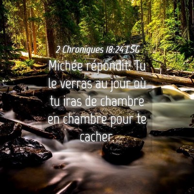 Picture 04 - 2 Chroniques 18:24 LSG - Michée répondit: Tu le verras au jour où tu - Bible Verse Picture