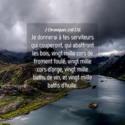 Picture 04 - 2 Chroniques 2:10 LSG - Je donnerai à tes serviteurs qui couperont, qui - Bible Verse Picture