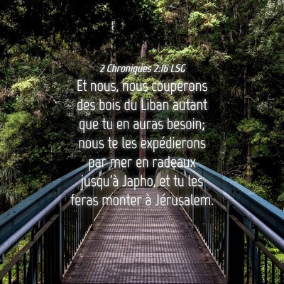 Picture 04 - 2 Chroniques 2:16 LSG - Et nous, nous couperons des bois du Liban autant - Bible Verse Picture