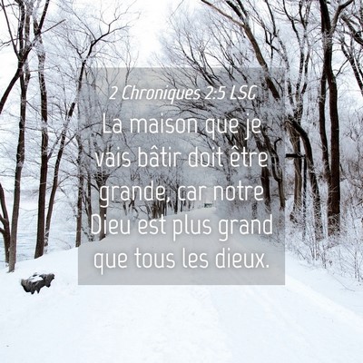 Picture 04 - 2 Chroniques 2:5 LSG - La maison que je vais bâtir doit être grande, - Bible Verse Picture